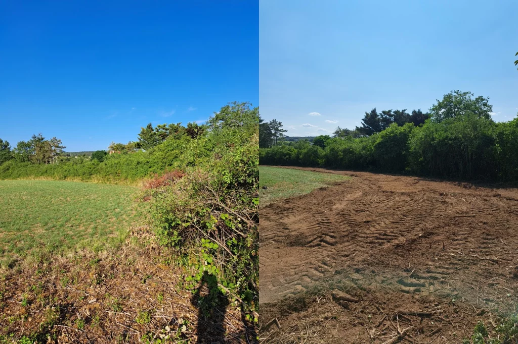 Broyage forestier agrandissement parcelle agricole