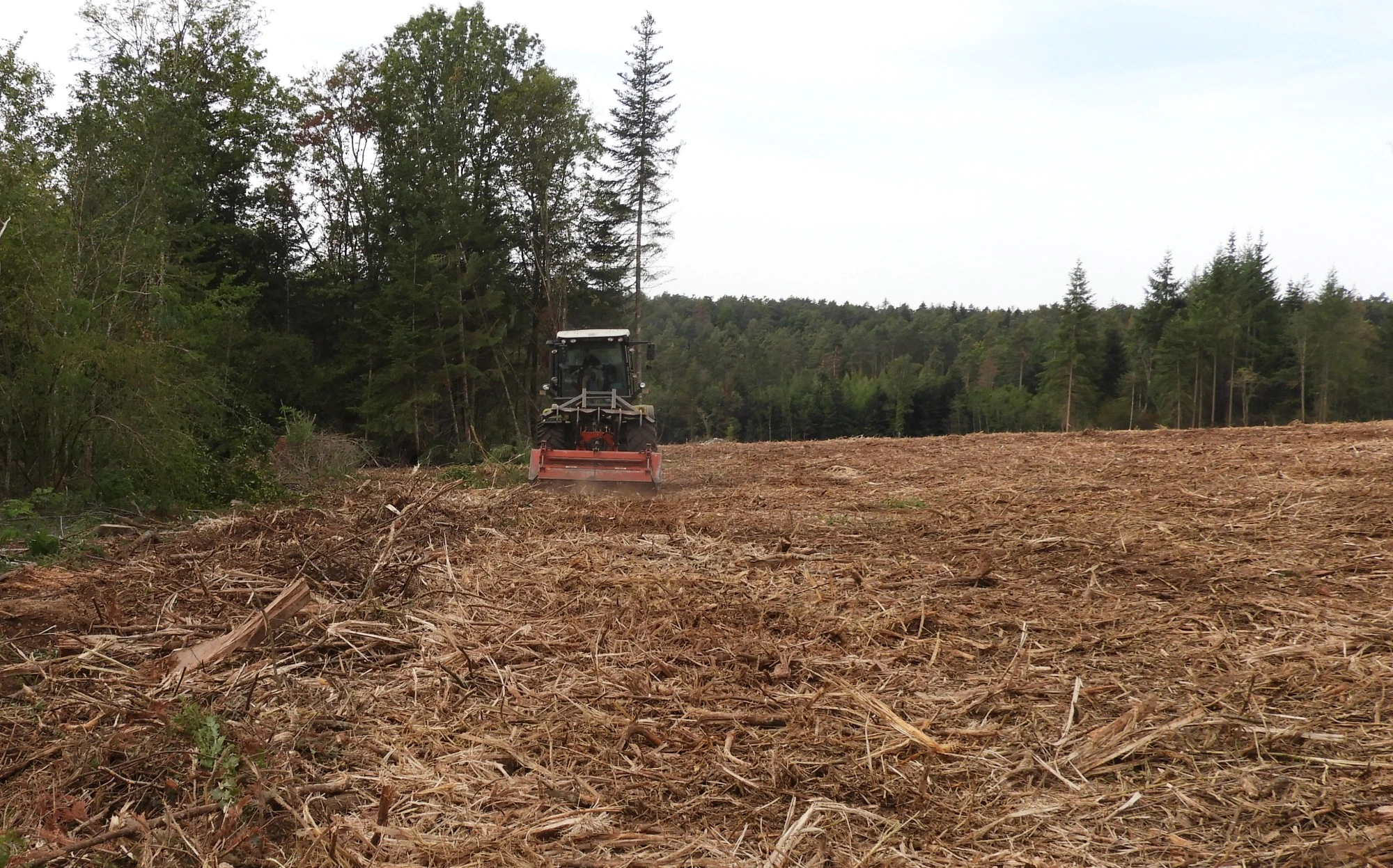 TPF21 Broyage forestier - Préparation parcelle plantations