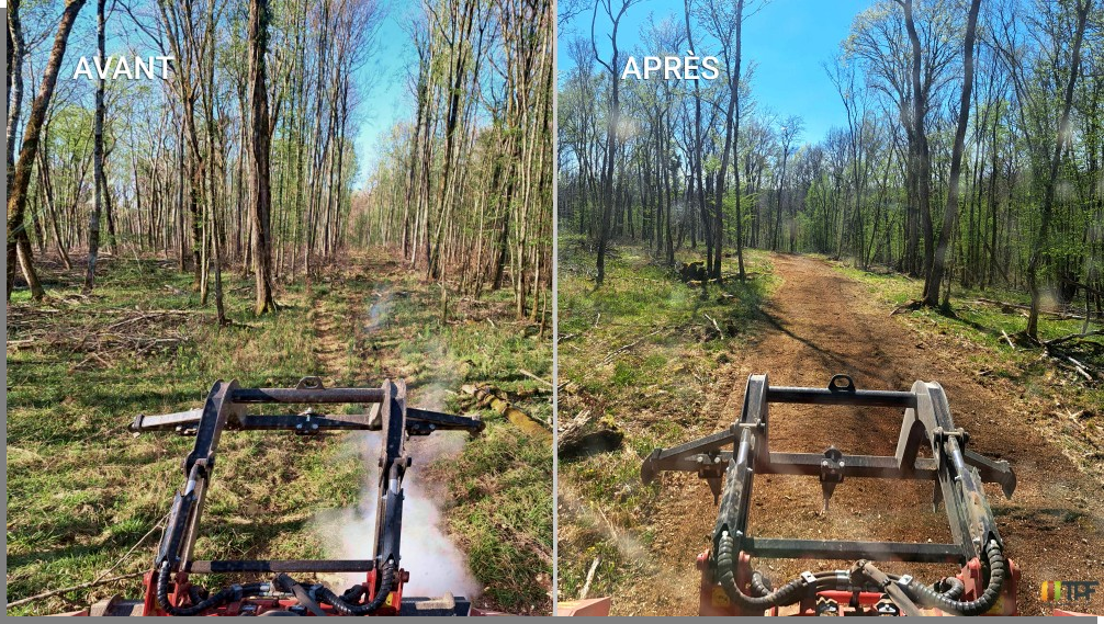 Chemin blanc forestier rénové par TPF en Côte-d'Or — surface compactée et praticable après broyage de pierre