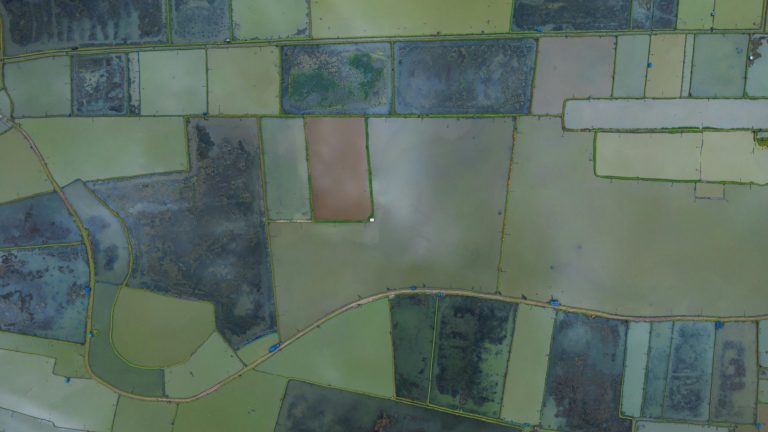 Remembrement des surfaces agricole par TPF en Cote d'Or