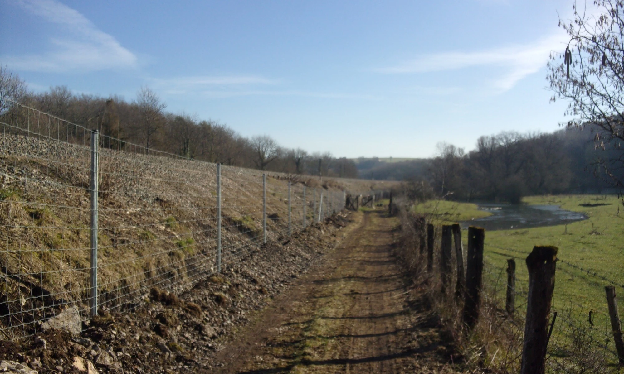 Grande clôture forestière à gibier