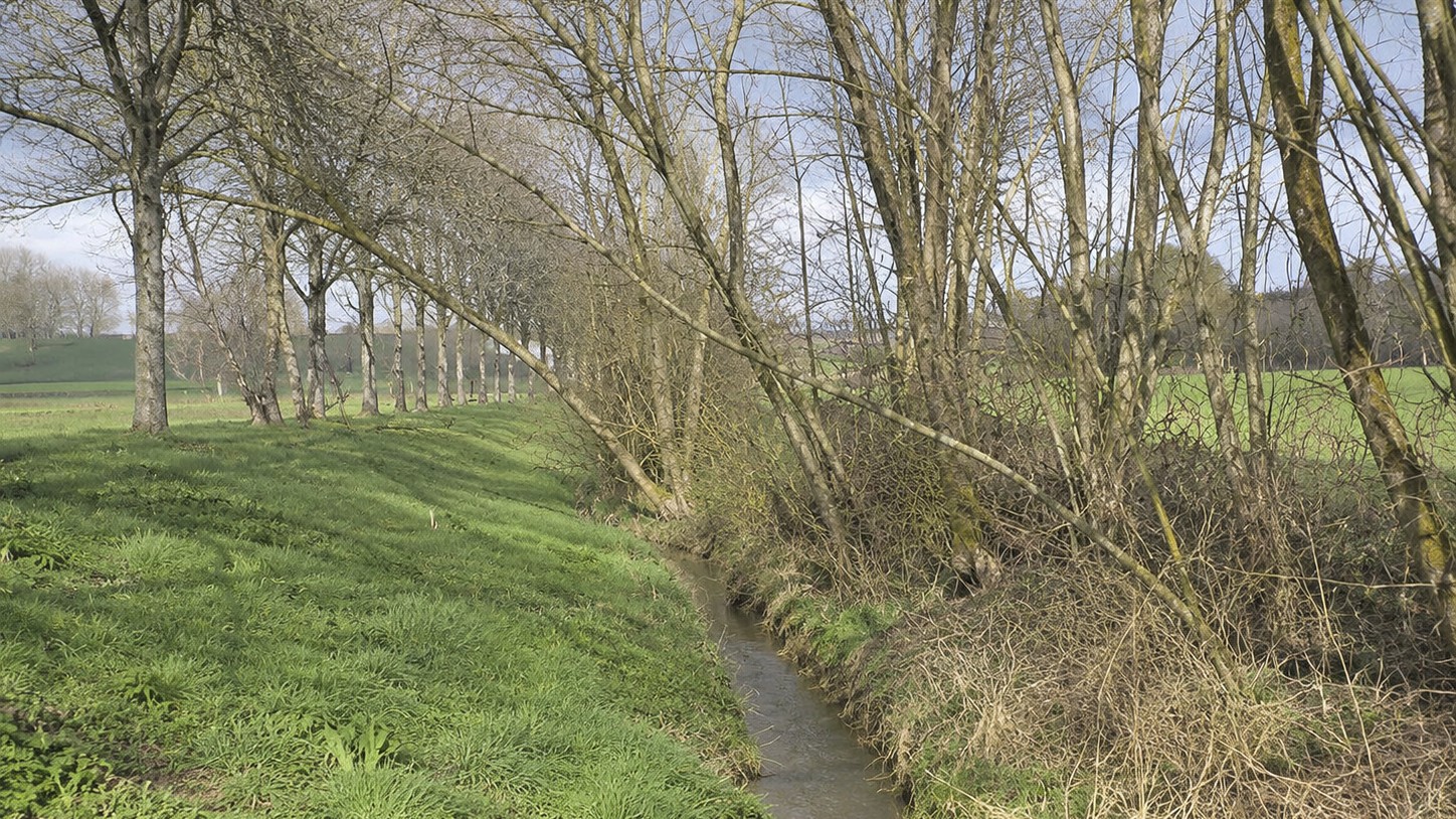 Renaturisation du ru de la Saussiotte à Semur-en-Auxois
