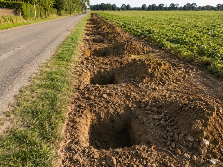 Fosse de plantation d'alignement en bordure de voirie communale